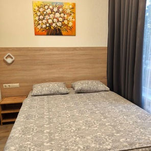 Номер №5 Двухместный с одной кроватью (160см)